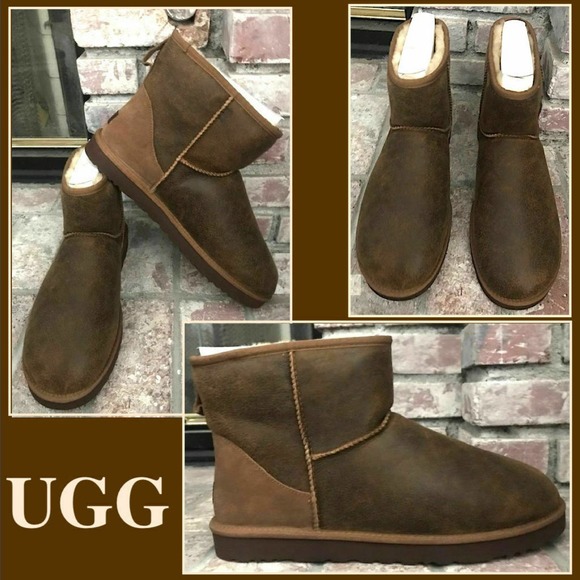 UGG Australia Other - UGG Classic Mini Bomber Men Brown Ankle Boots 16
